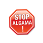STOP ALGAMA!